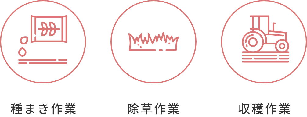 種まき作業 除草作業 収穫作業