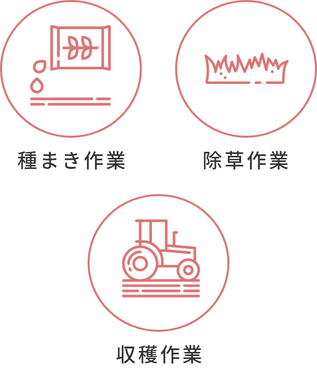 種まき作業 除草作業 収穫作業